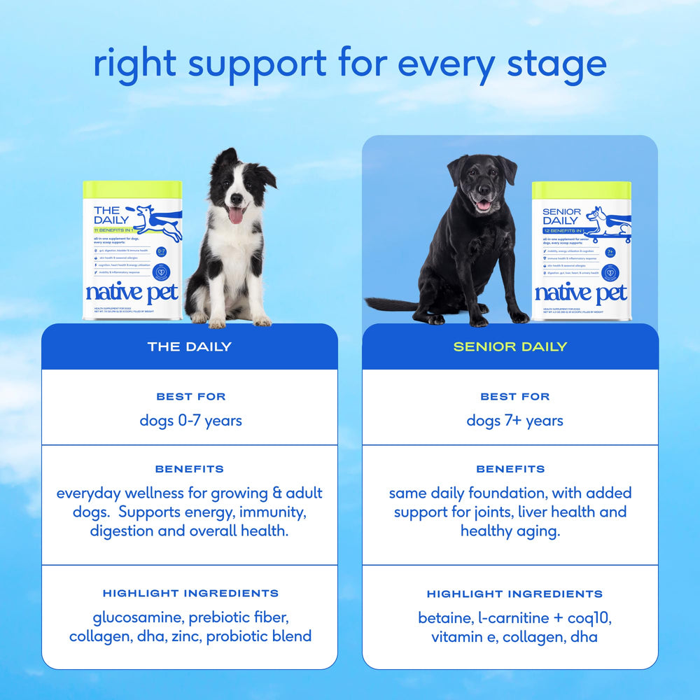 Native Pet L-Carnitine helps maintain daily energy in senior dogs.