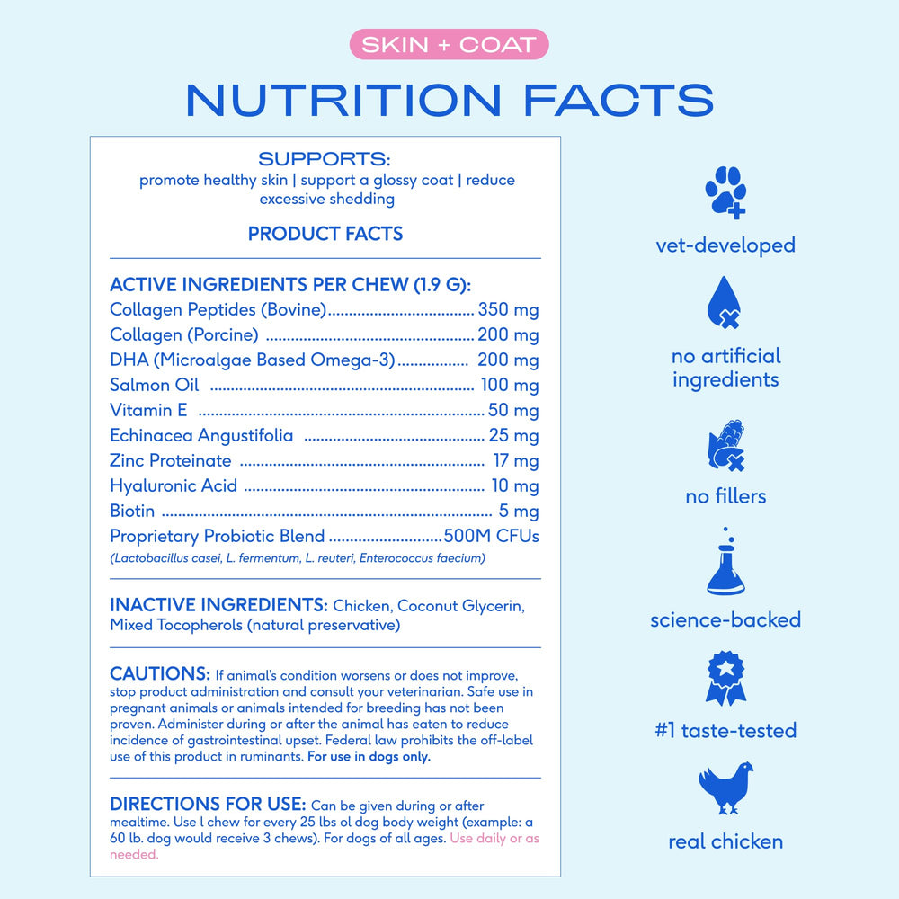 Native Pet Skin & Coat Chews, collagene et hyaluronique pour elasticité.