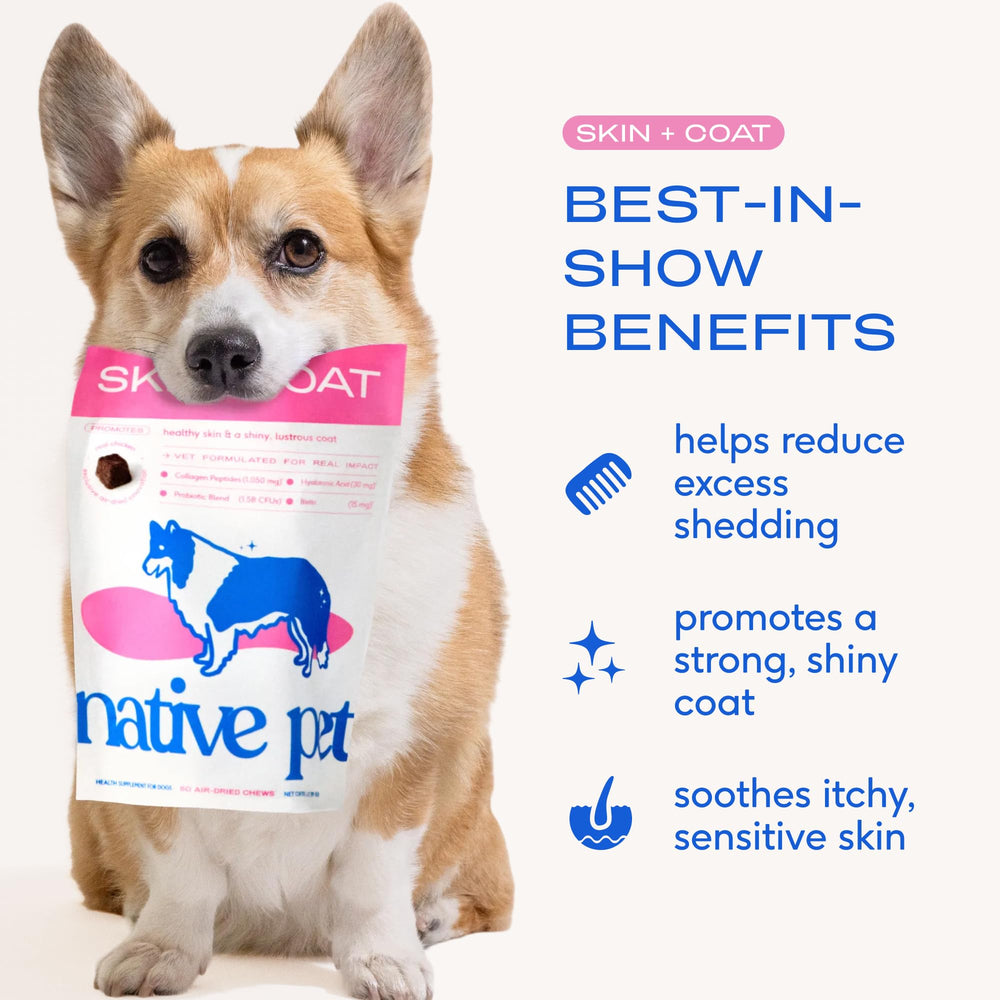 Native Pet Skin & Coat Chews, démangeaisons apaisées et confort cutané.