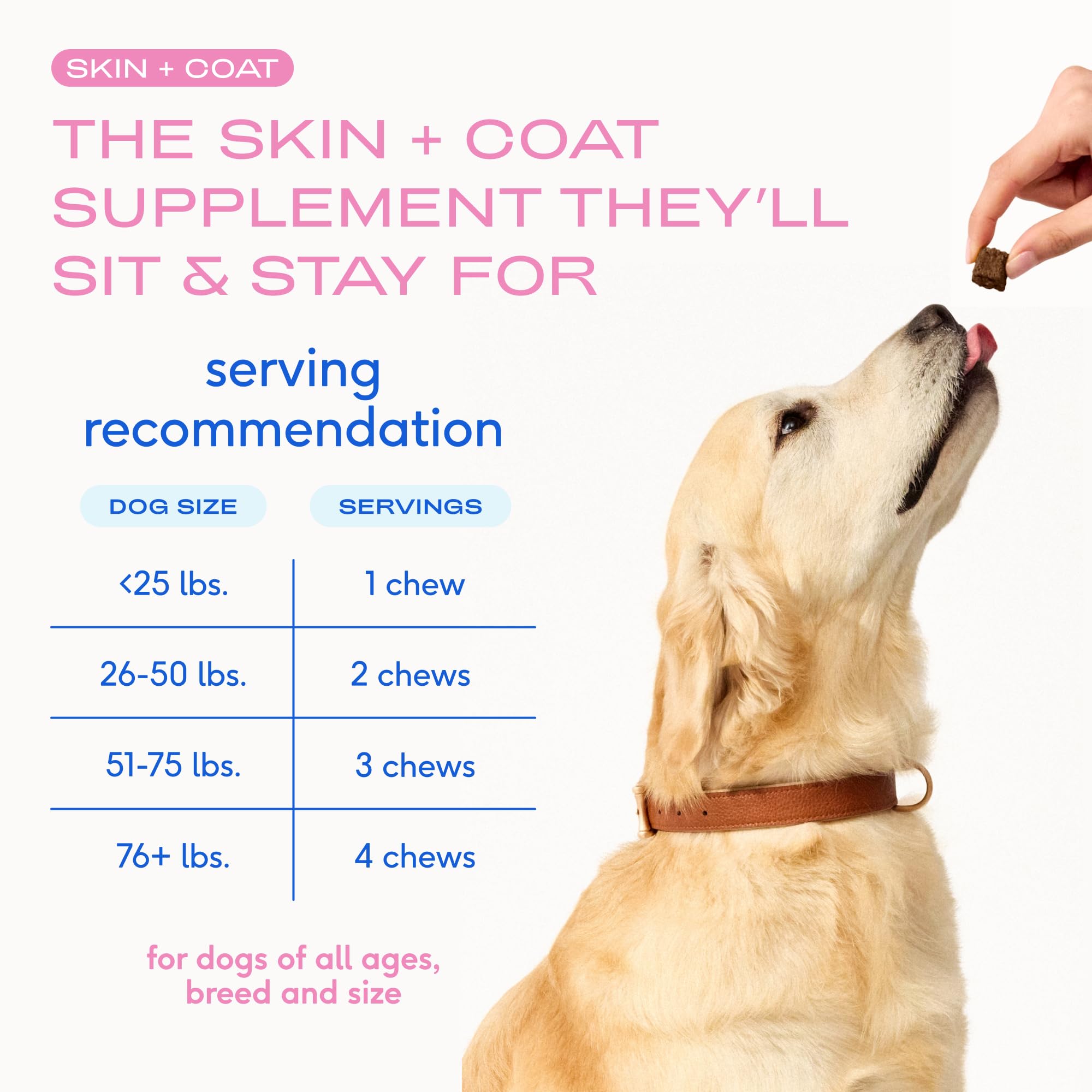 Native Pet Skin & Coat Chews, omega-3 saumon pour une brillance naturelle.