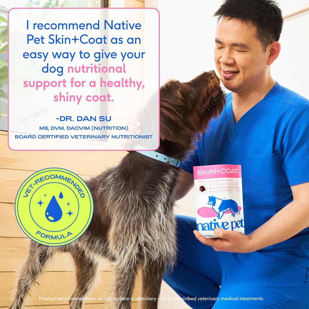 Native Pet Skin & Coat Chews, probiotiques pour l'équilibre intestinal.