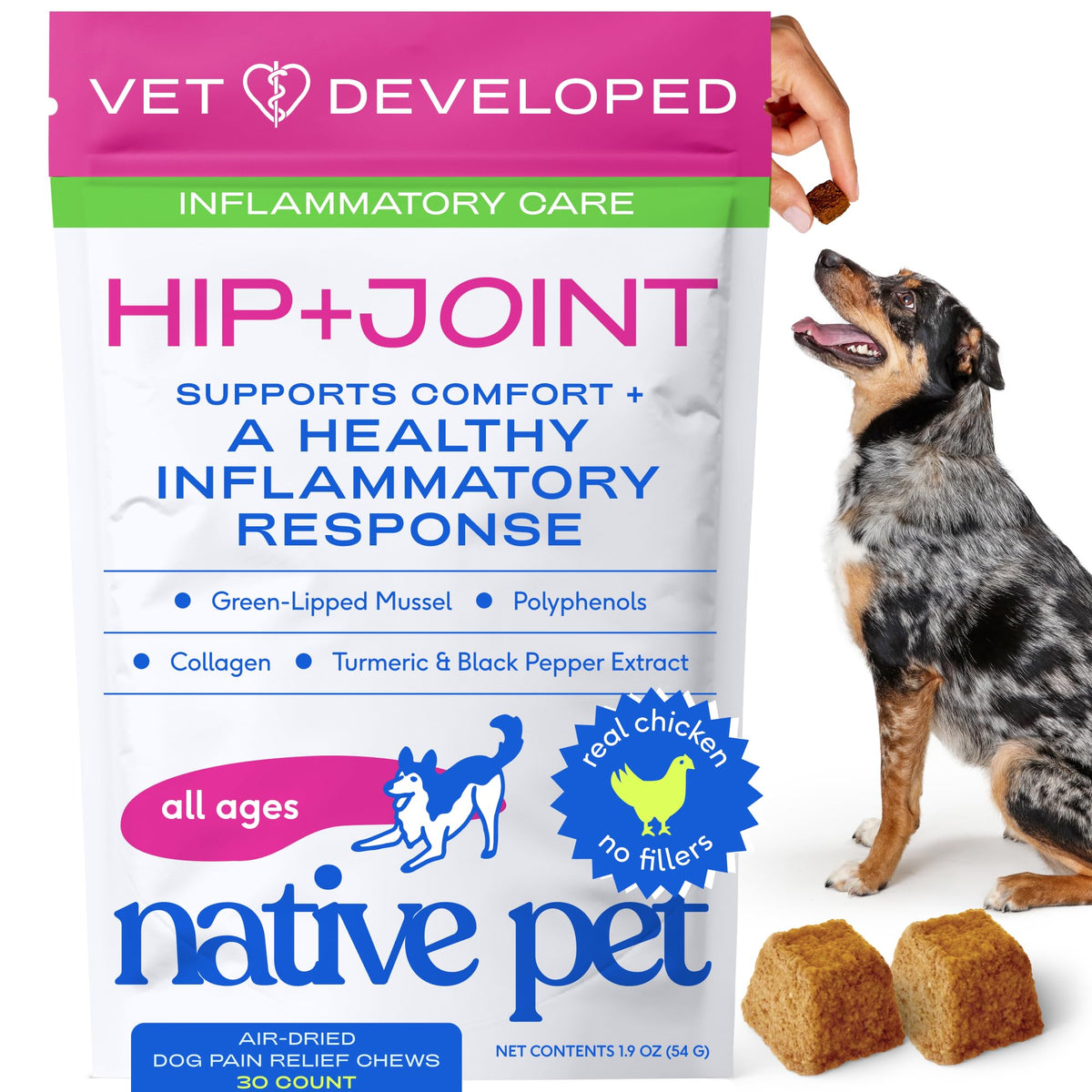 Native Pet Inflammatory Care – chien qui mâche, soutien possible articulations et mobilité.