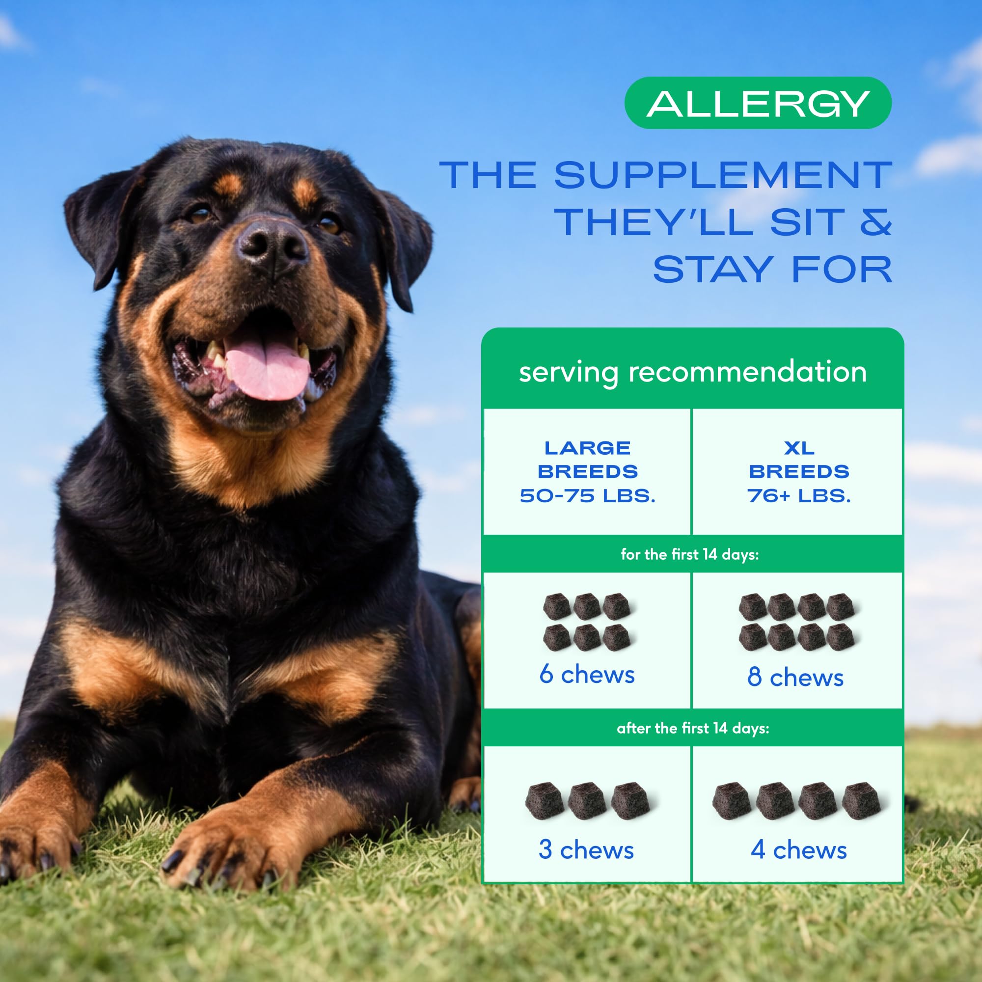 Native Pet vet-formulated dog allergy chews, reflecting professional nutrition guidance.