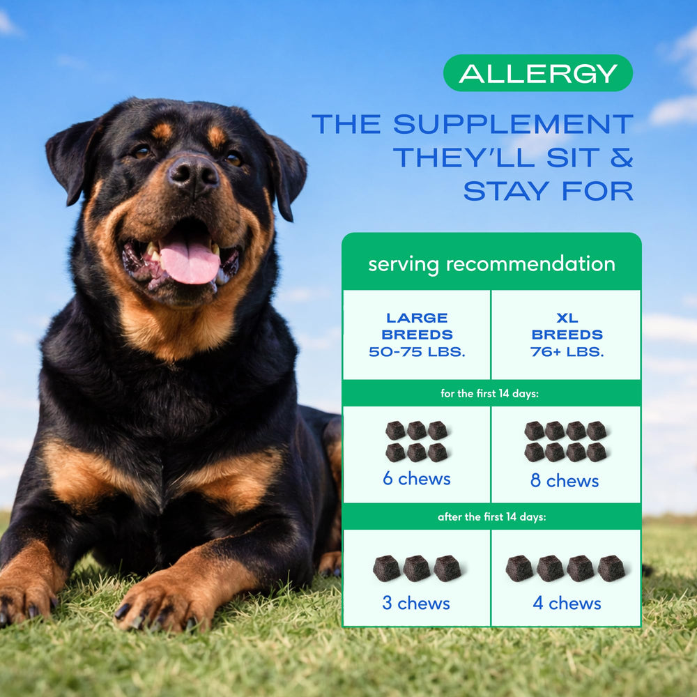 Native Pet vet-formulated dog allergy chews, reflecting professional nutrition guidance.