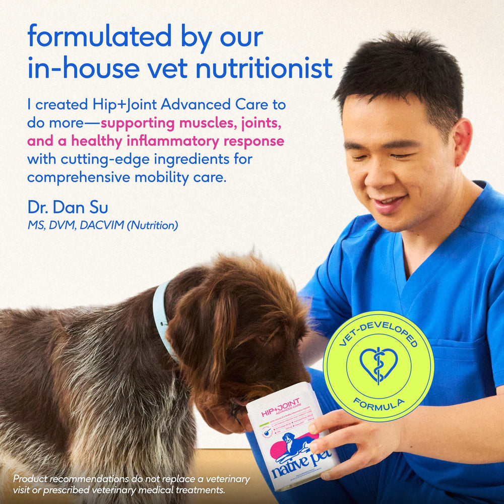 Native Pet hyaluronic acid detail showing joint lubrication benefits.