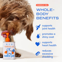 Native Pet wild-caught salmon oil for dogs delivers omega-3s for skin and coat health.
