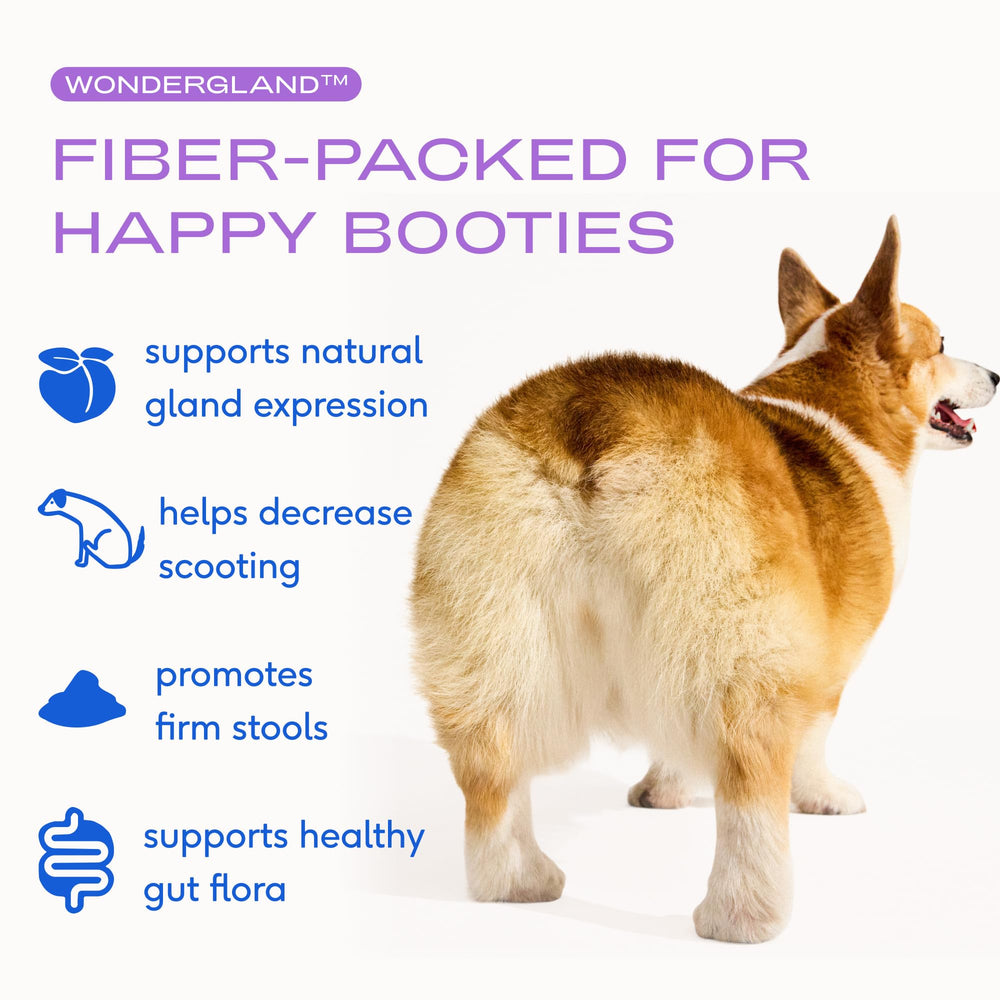 Native Pet WonderGland scoop shows easy daily dosing for fiber support.
