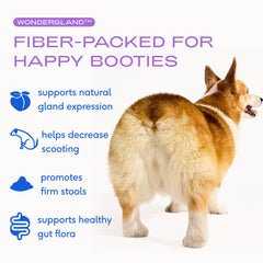 Native Pet WonderGland scoop shows easy daily dosing for fiber support.