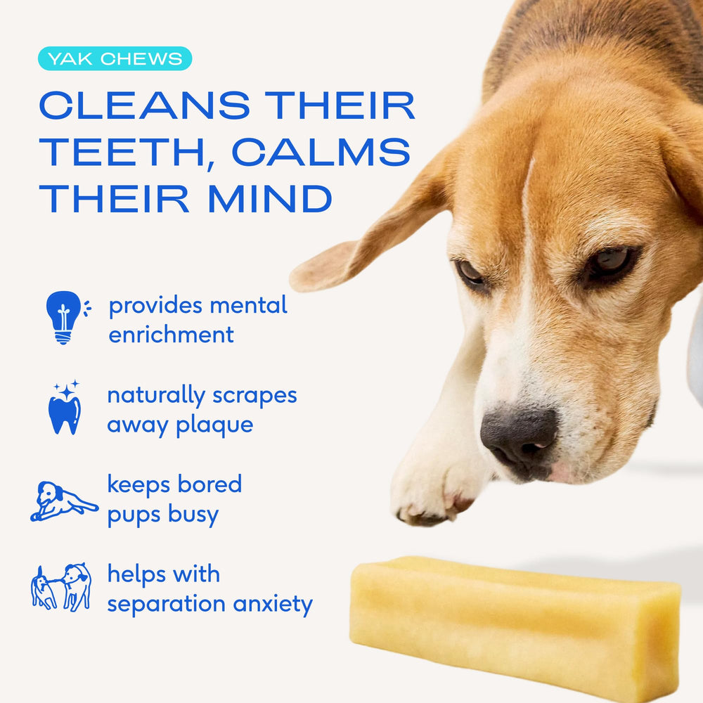 Native Pet Yak Cheese Himalayan dog chews closeup texture shows dense, protein-rich chew.