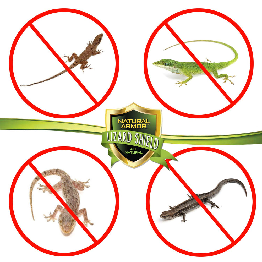 Indoor application area ready for Natural Armor Lizard Repellent.