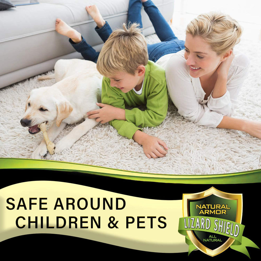 Outdoor application on sidewalks and driveways with Natural Armor.