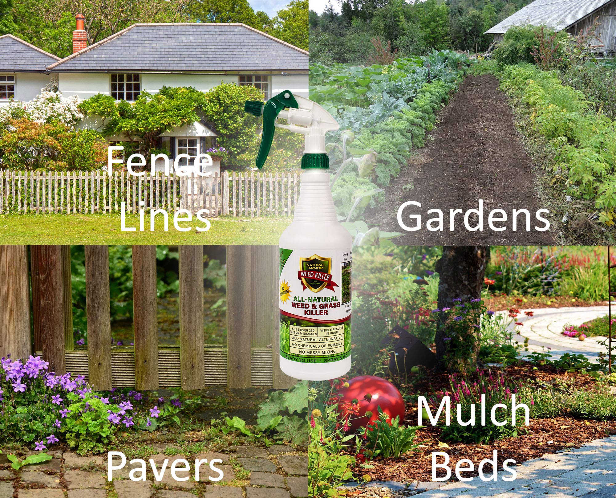 Natural Armor patio and pathway treatment reducing unwanted growth along surfaces.
