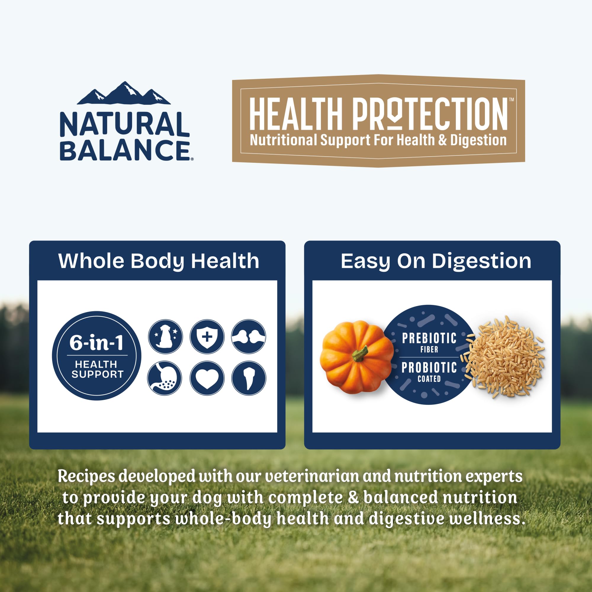 Natural Balance Health Protection kibble with probiotic coating for gentle digestion