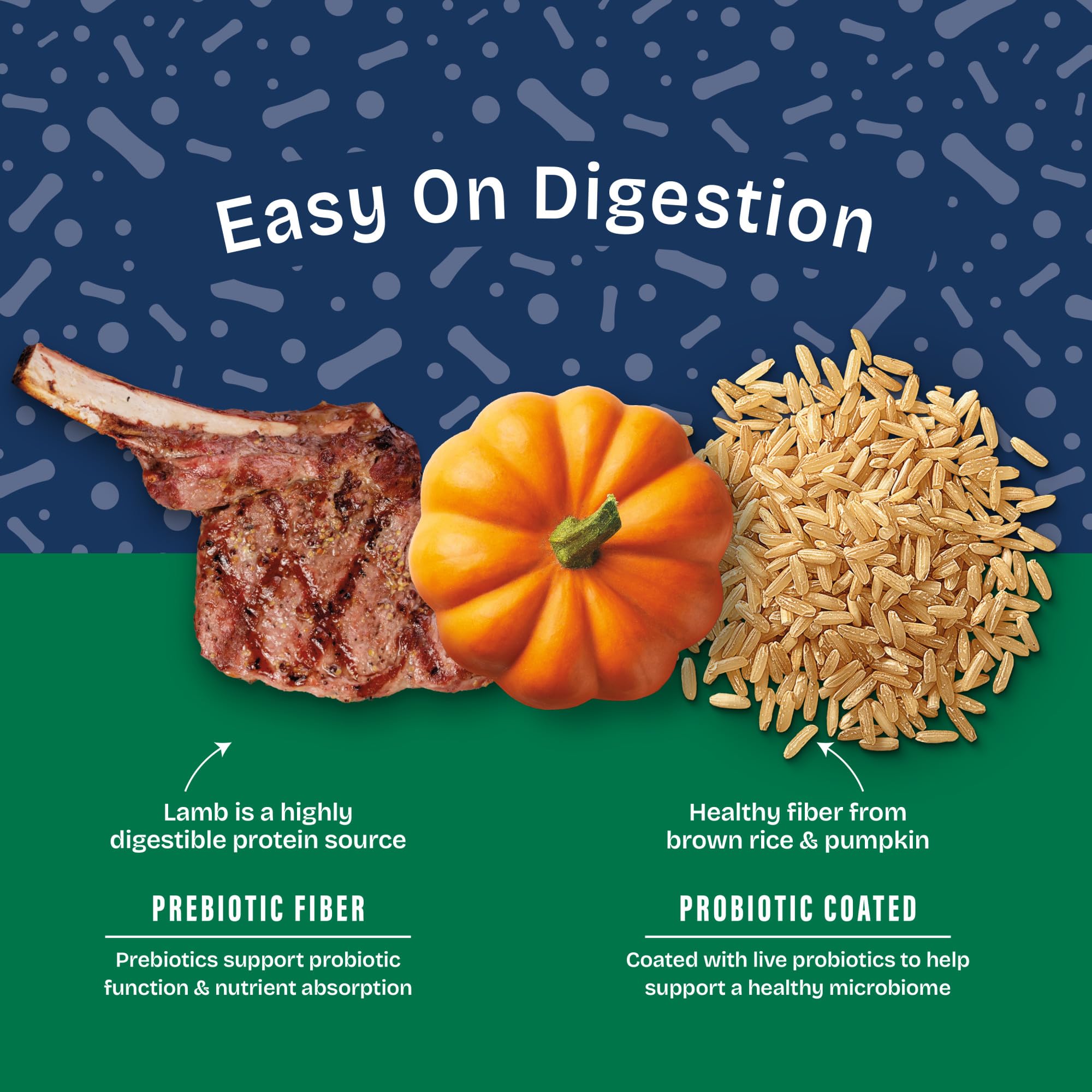 Natural Balance Health Protection lamb brown rice pumpkin blend supports fiber and flavor