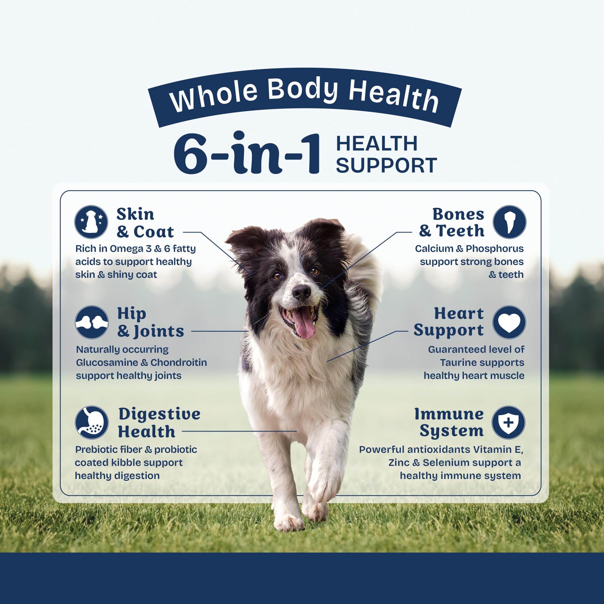 Natural Balance Health Protection formula without corn, soy, or wheat