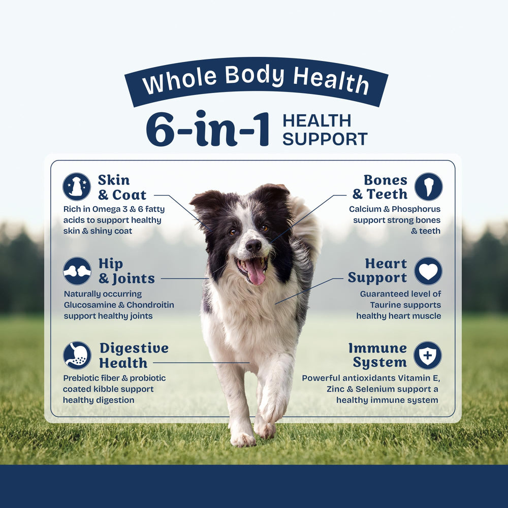 Natural Balance Health Protection formula without corn, soy, or wheat