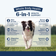 Natural Balance Health Protection formula without corn, soy, or wheat