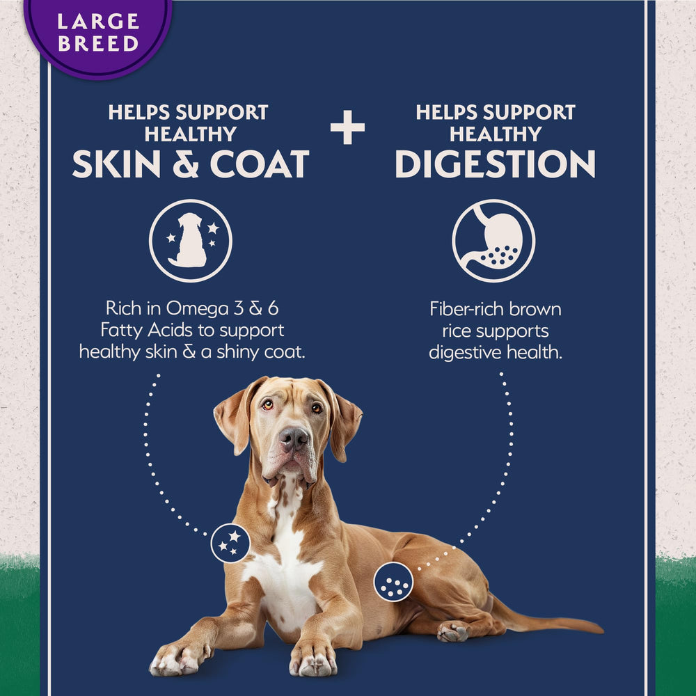 Natural Balance L.I.D. Lamb & Brown Rice kibble close-up emphasizes premium lamb protein