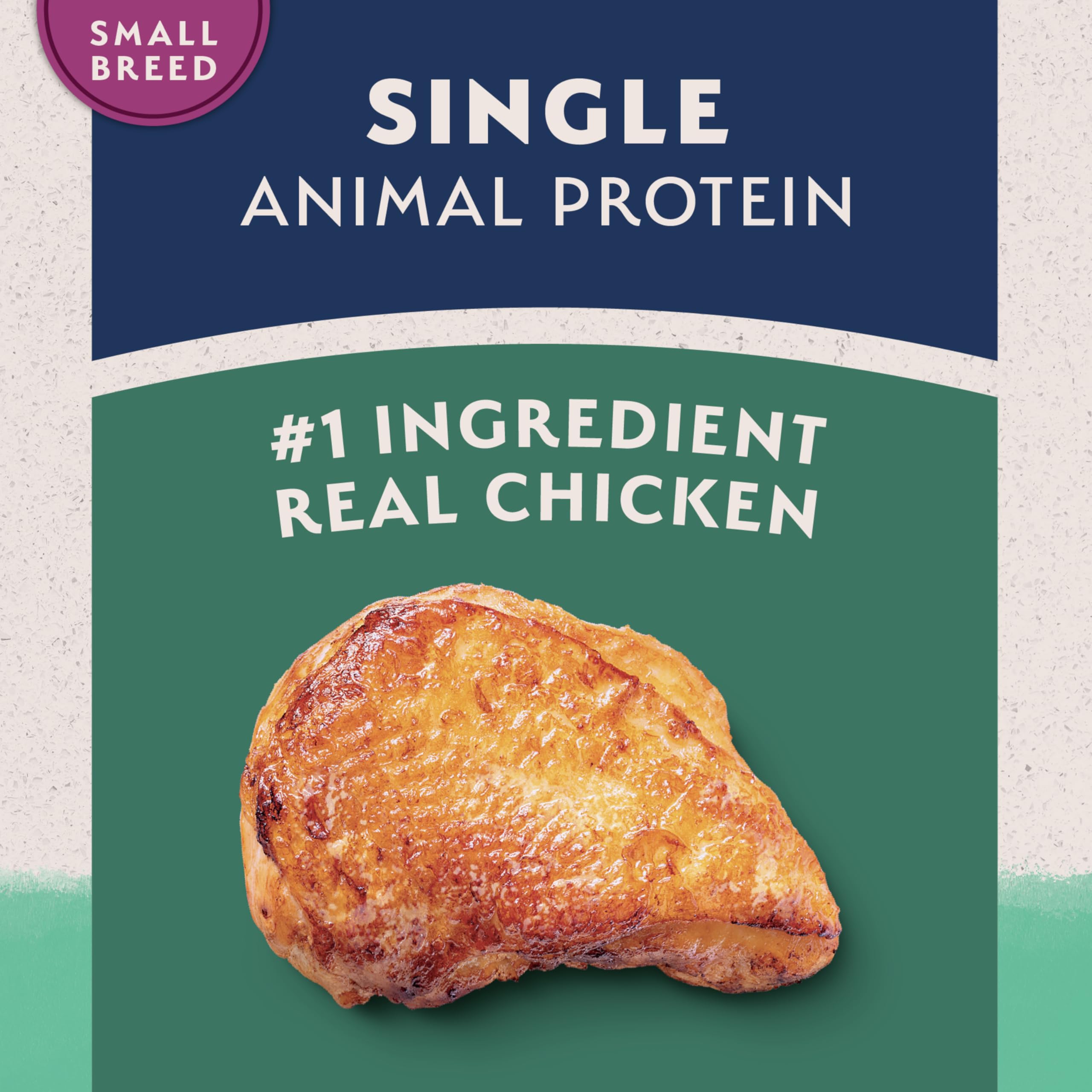 Natural Balance L.I.D. small breed kibble in dog bowl for easy eating.