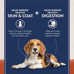 Natural Balance L.I.D. sweet potato ingredients highlighting fiber from sweet potatoes