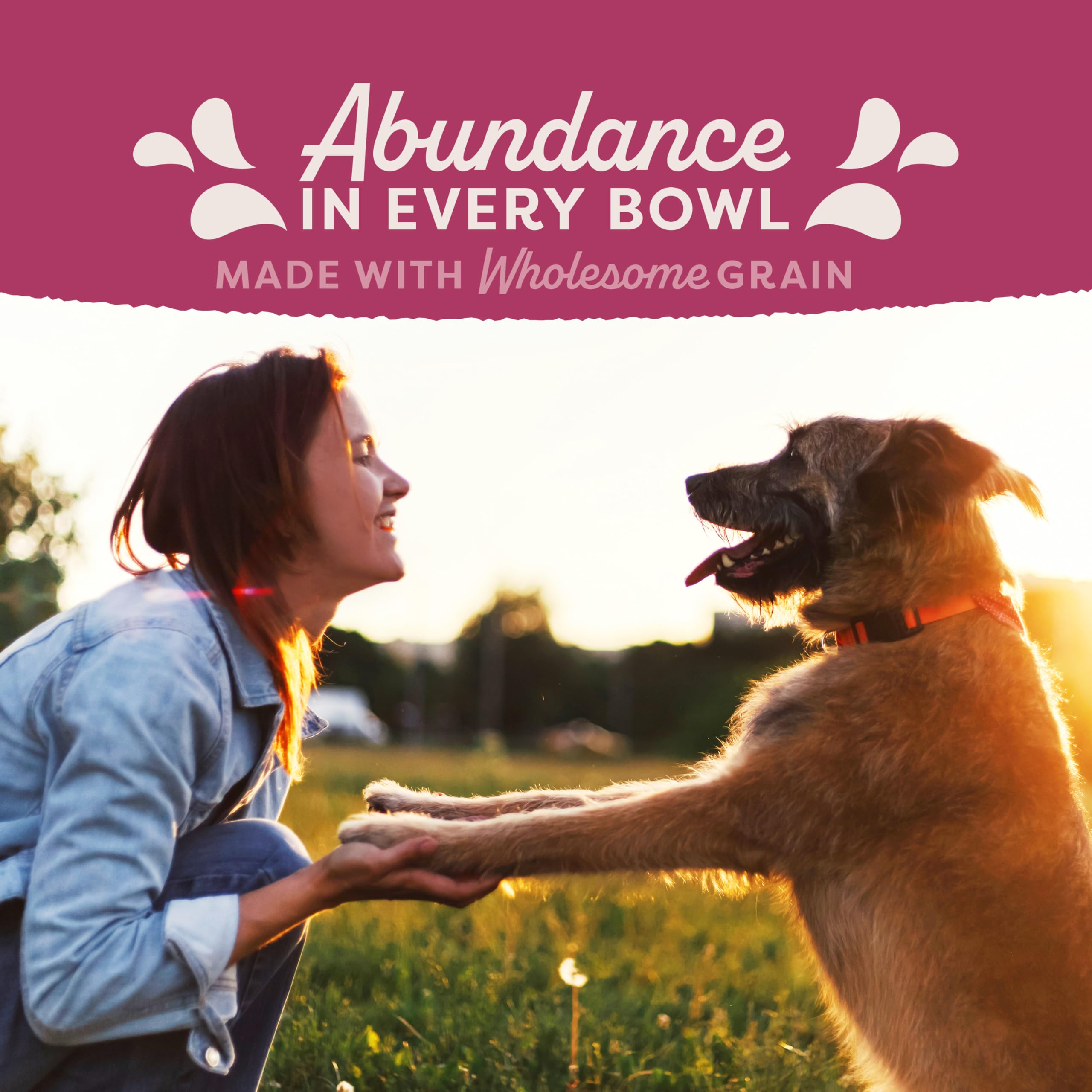 Natural Balance Ultra Fat Dogs kibble in a serving bowl for meals