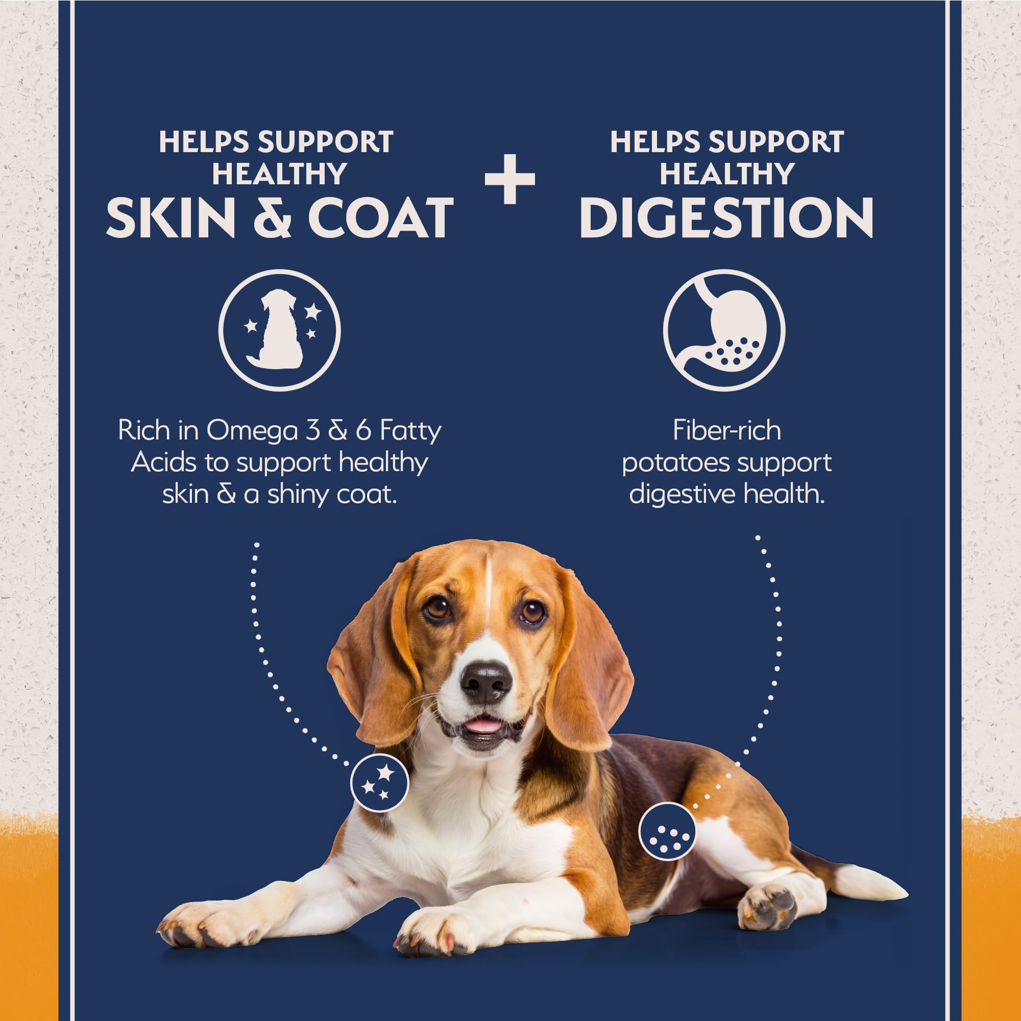 Natural Balance grain-free dog food without artificial colors.