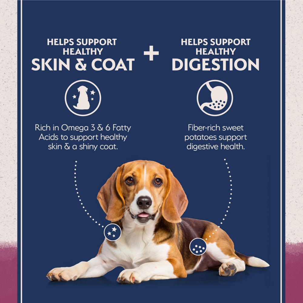 Natural Balance Reserve dog bowl mealtime captures ready-to-serve venison kibble for a wholesome meal.