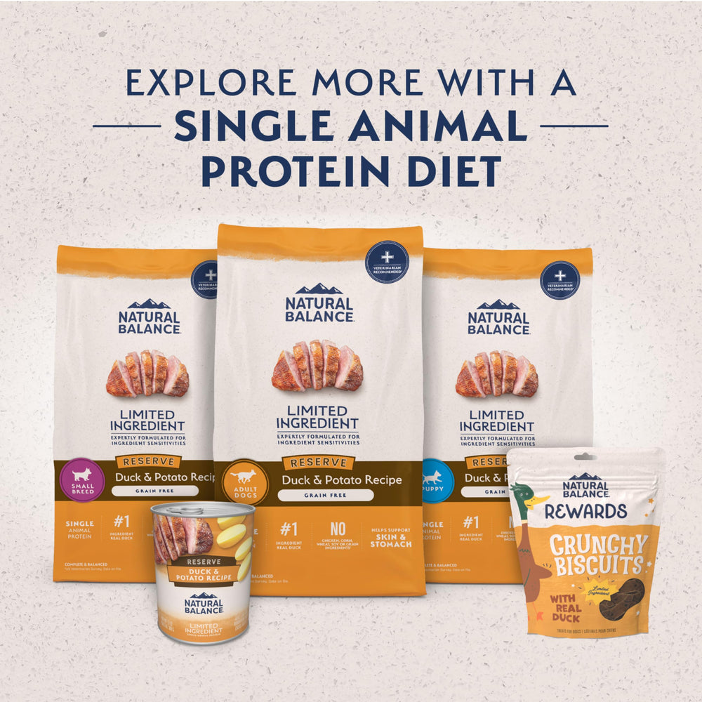 Natural Balance small-breed kibble size image communicates easy chewing for small mouths