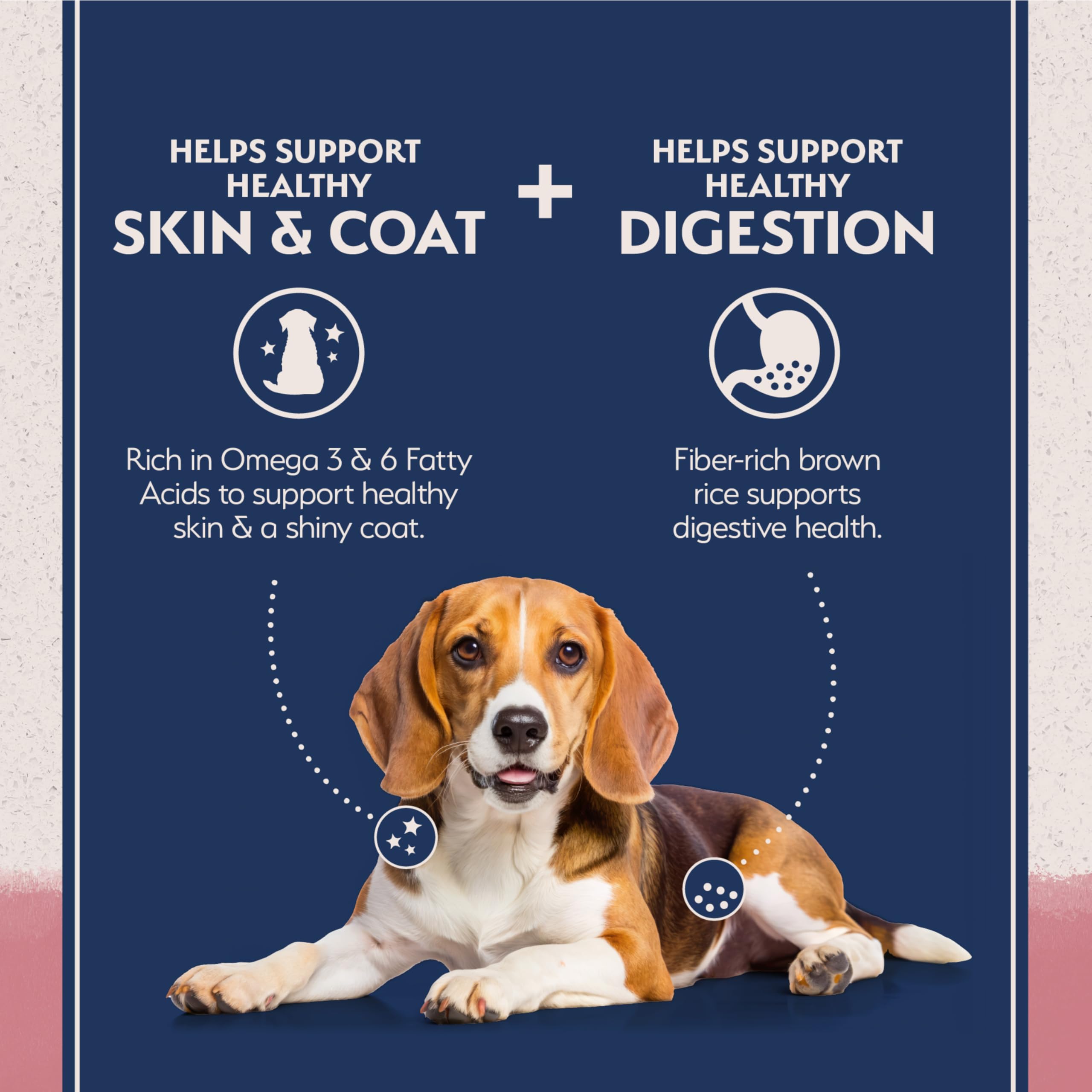 Natural Balance single-protein source label suggests gentle nutrition for sensitive stomachs