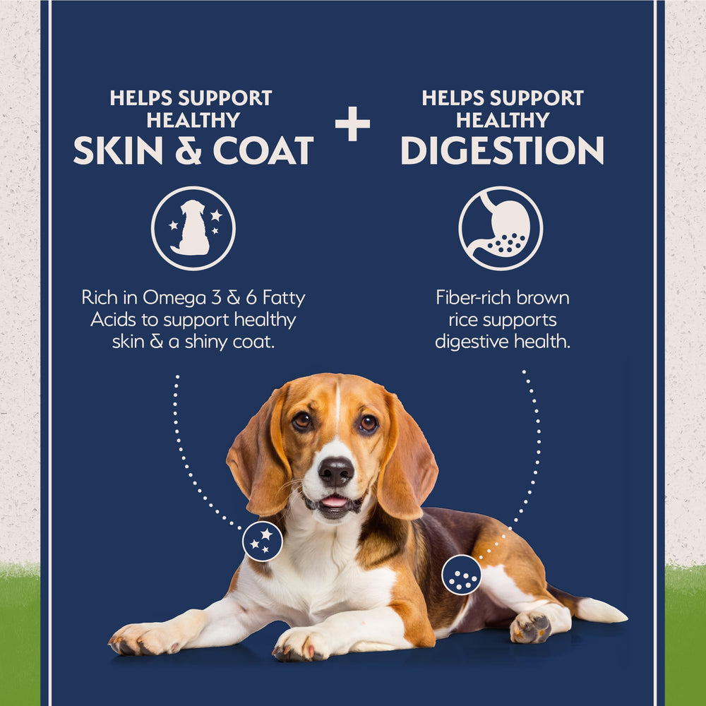 Natural Balance close-up of kibble highlighting skin and coat support through omega fatty acids