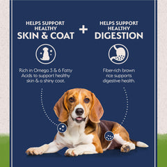 Natural Balance close-up of kibble highlighting skin and coat support through omega fatty acids