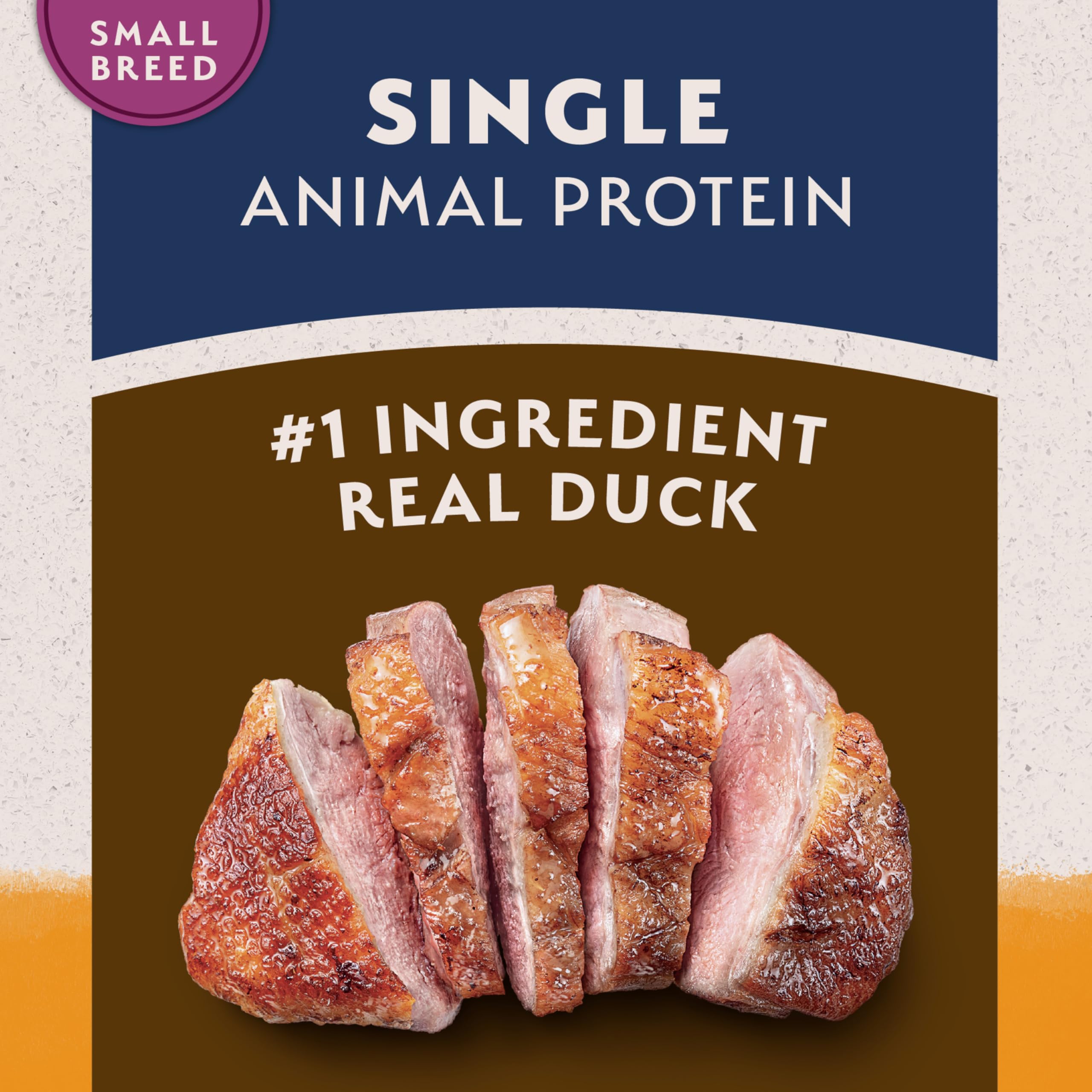 Natural Balance small-breed dry dog food serving bowl with kibble.