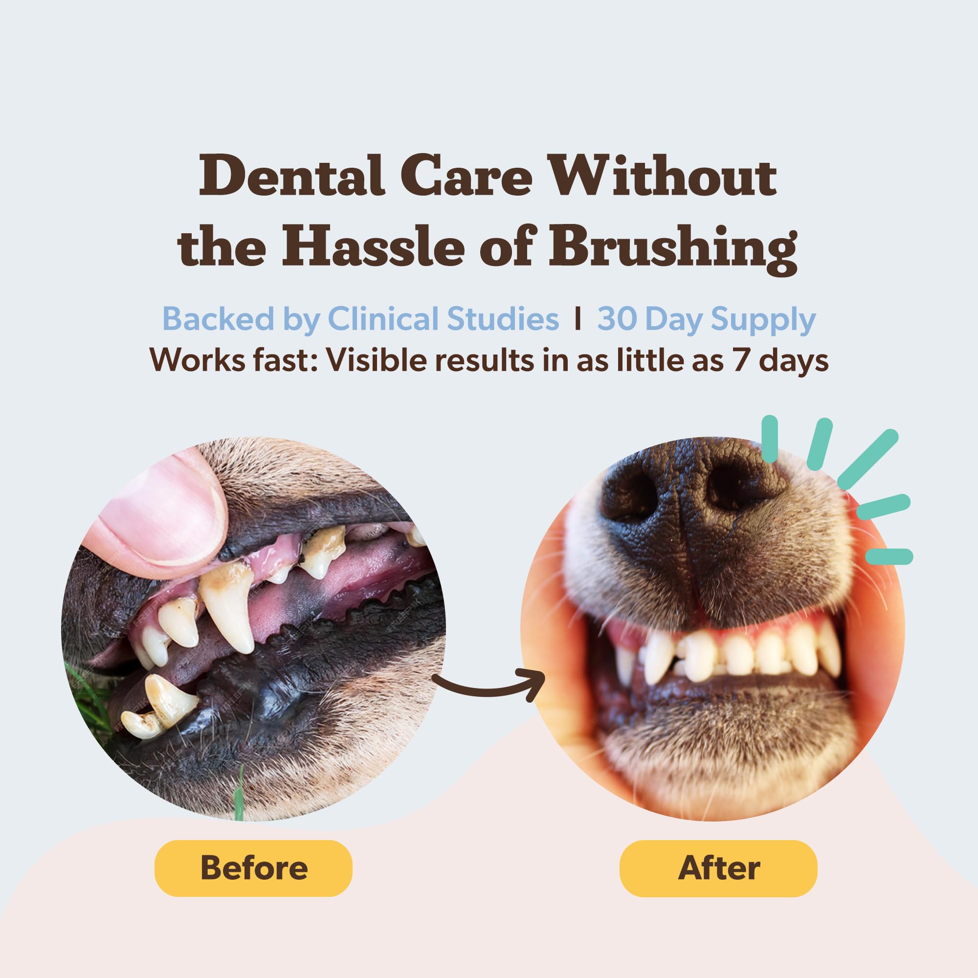 Natural Dog Company dental powder on kibble showing a simple no-brush routine.