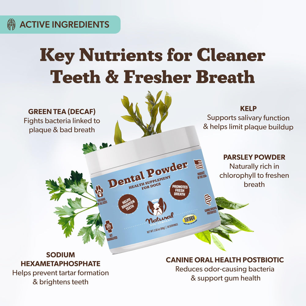 Natural Dog Company dental powder helping reduce plaque and tartar buildup over time.