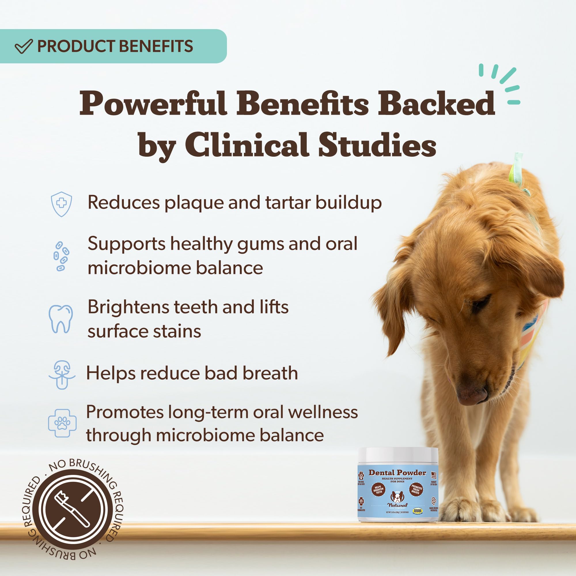 Natural Dog Company dental powder featuring postbiotic ingredients for a healthy oral microbiome.