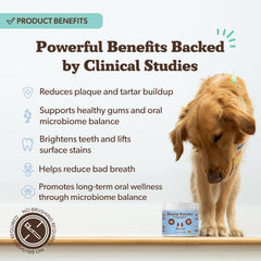 Natural Dog Company dental powder featuring postbiotic ingredients for a healthy oral microbiome.