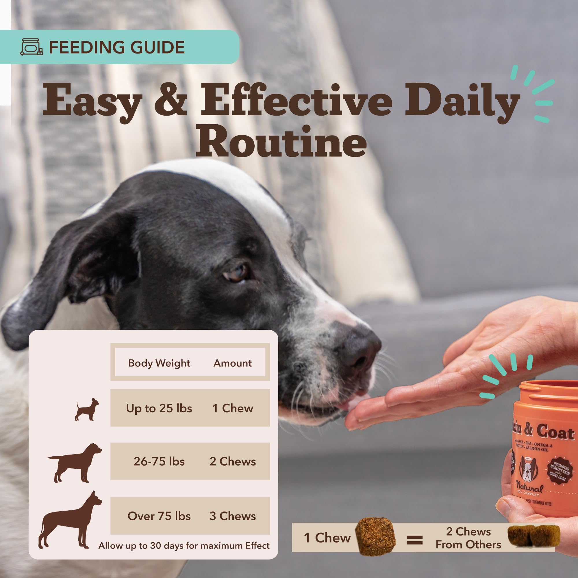 Natural Dog Company dog eating chews shows daily treat supporting skin and coat health.