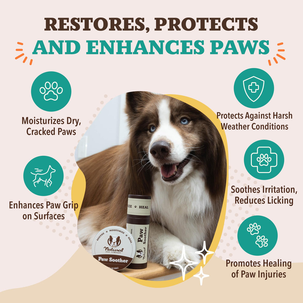 Natural Dog Company Paw Soother Balm application on paw demonstrates soothing action.