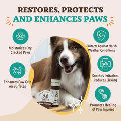 Natural Dog Company Paw Soother Balm application on paw demonstrates soothing action.
