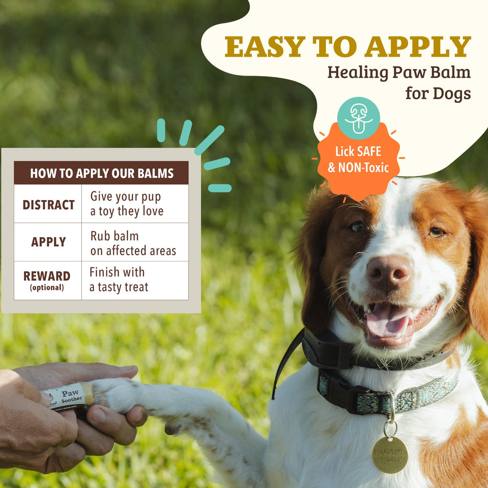 Fast-absorbing Paw Soother Balm moisturizes without greasiness