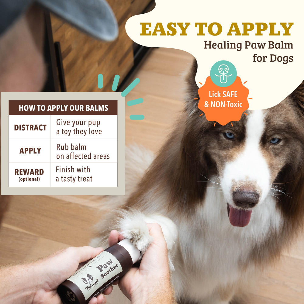 Natural Dog Company Paw Soother Balm paw care routine with wipes and balm.