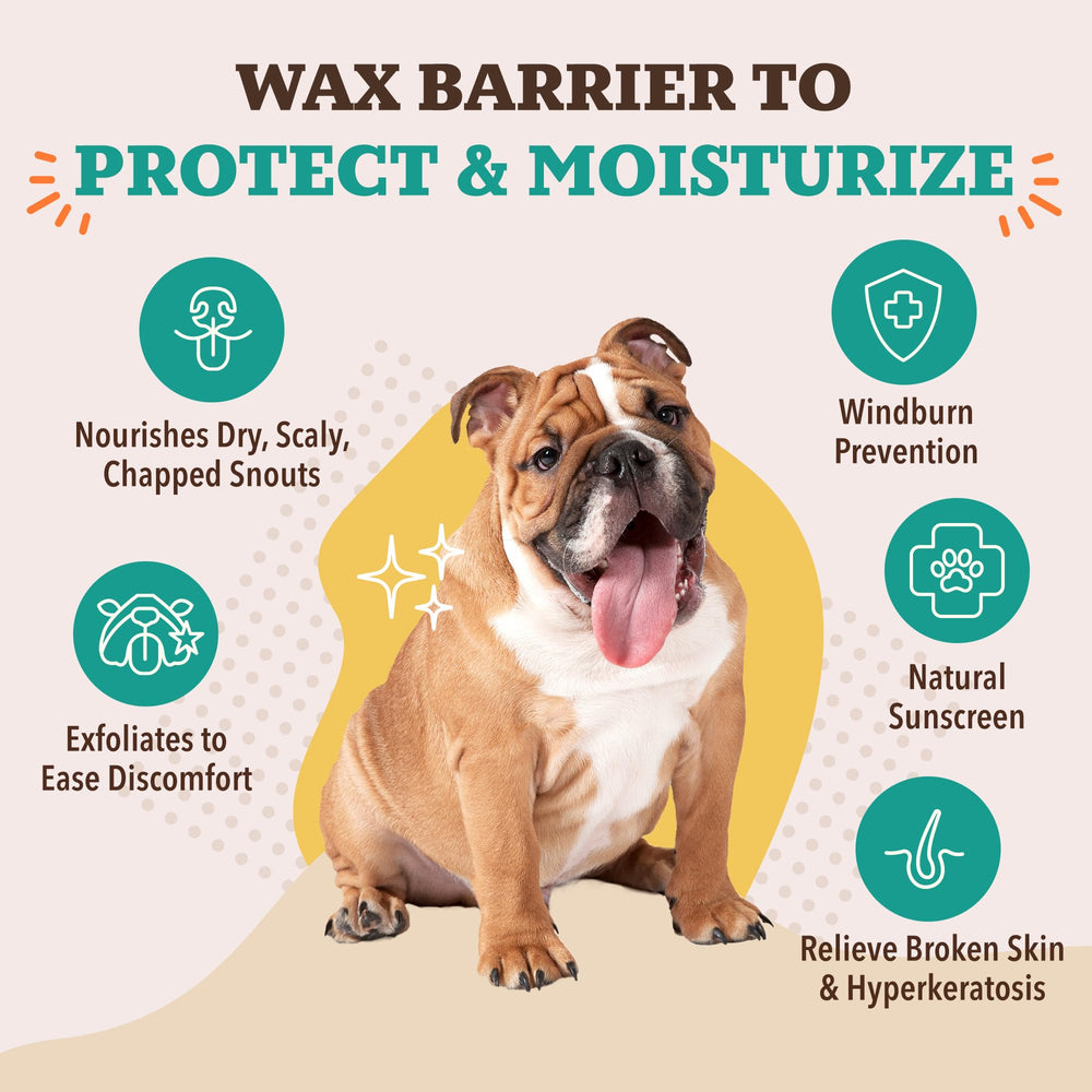 Natural Dog Company Snout Soother balm closeup showing creamy texture.