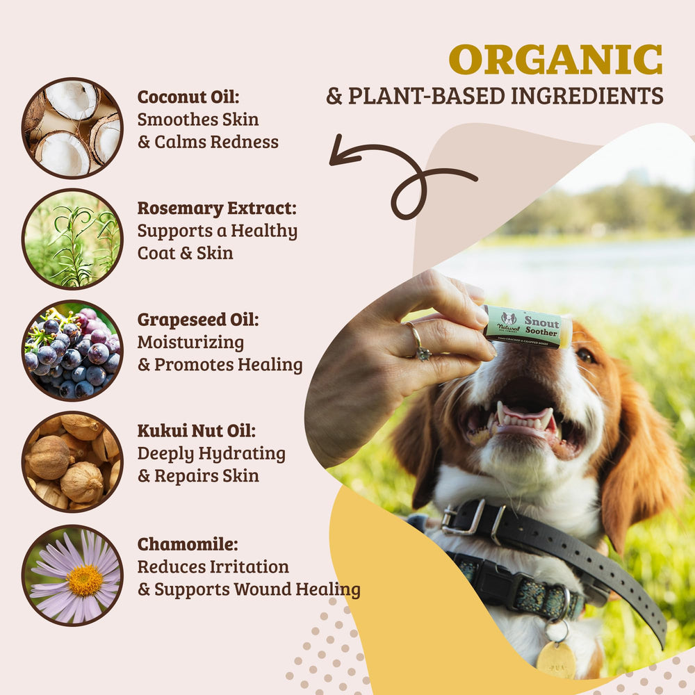 Natural Dog Company Snout Soother balm is lick safe for all breeds.