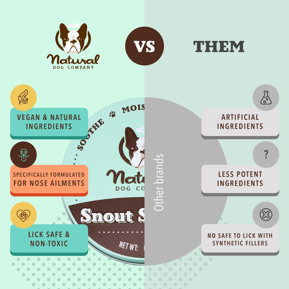 Natural Dog Company Snout Soother with plant-based moisturizers for daily use.