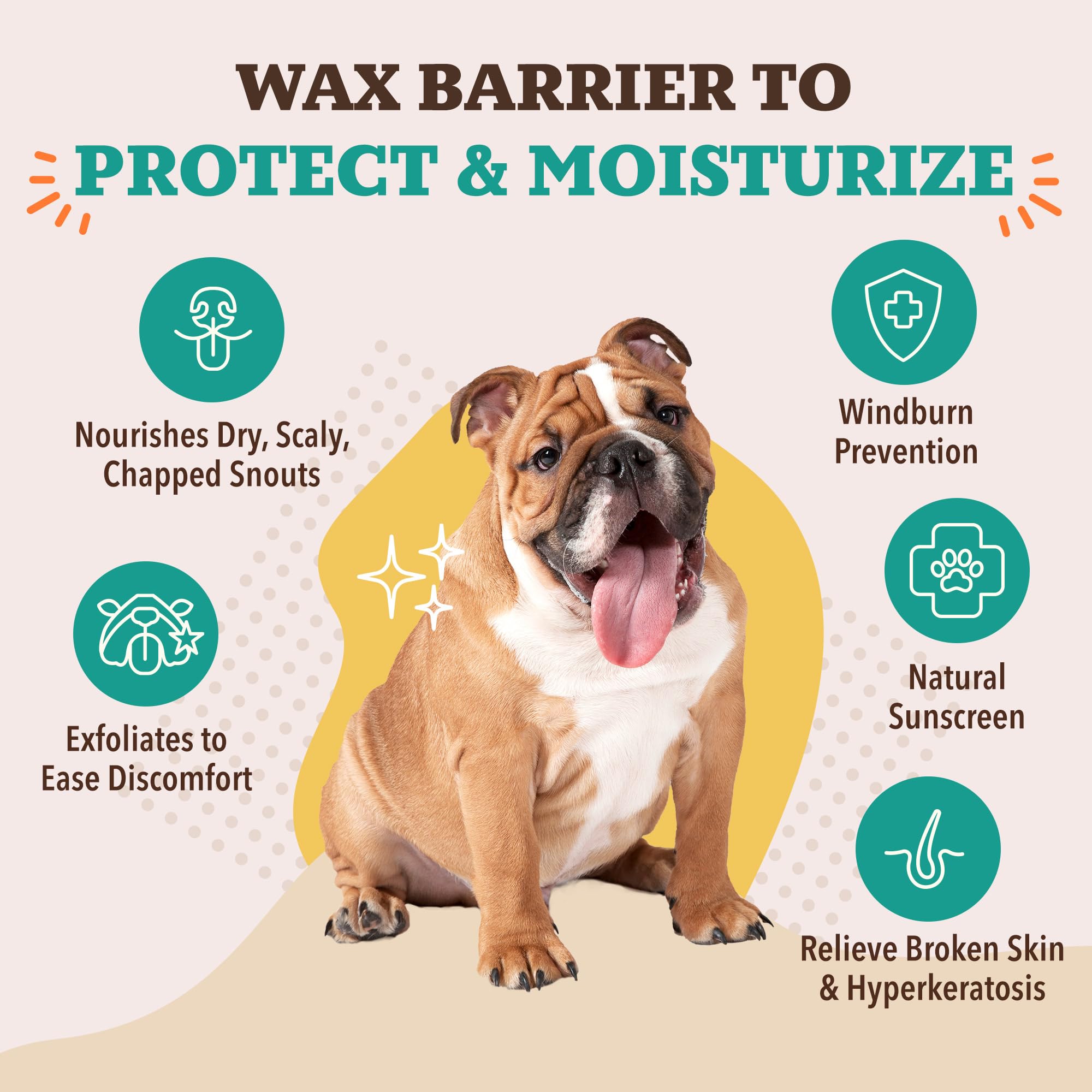 Two-step routine with Snout Wipes and Snout Soother Balm.
