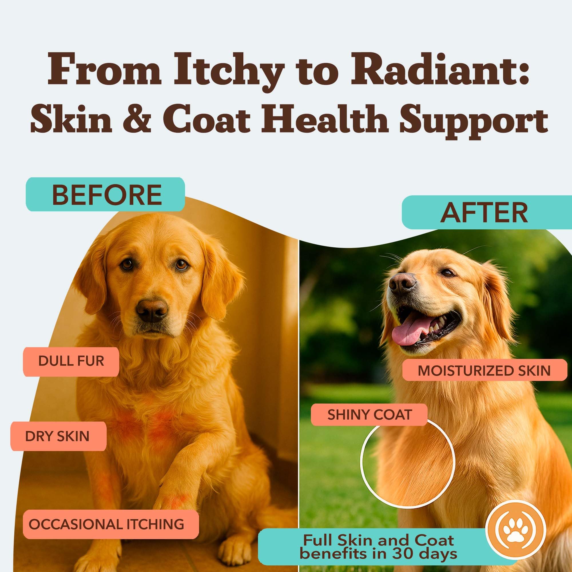 Natural Dog Company soft chews coat health help dogs enjoy easy daily supplementation.