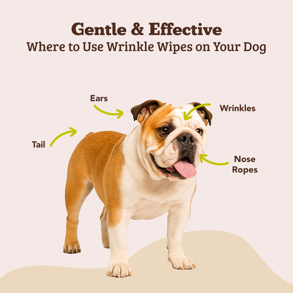Natural Dog Company Wrinkle Wipes ingredients: shea butter, rosemary extract, calendula for nourishing care.