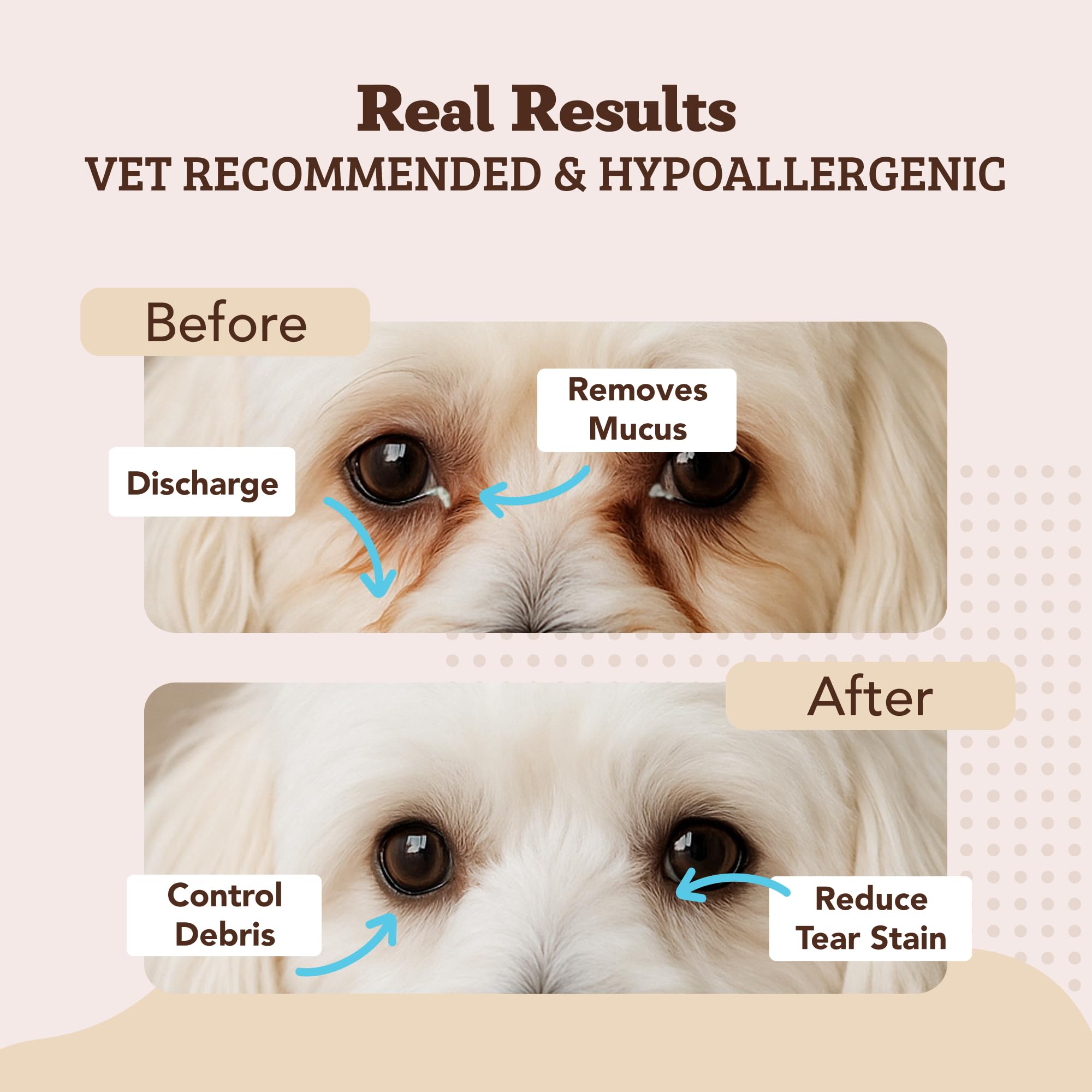 Natural Dog Eye Wipes being gently applied around dog's eye for cleansing.