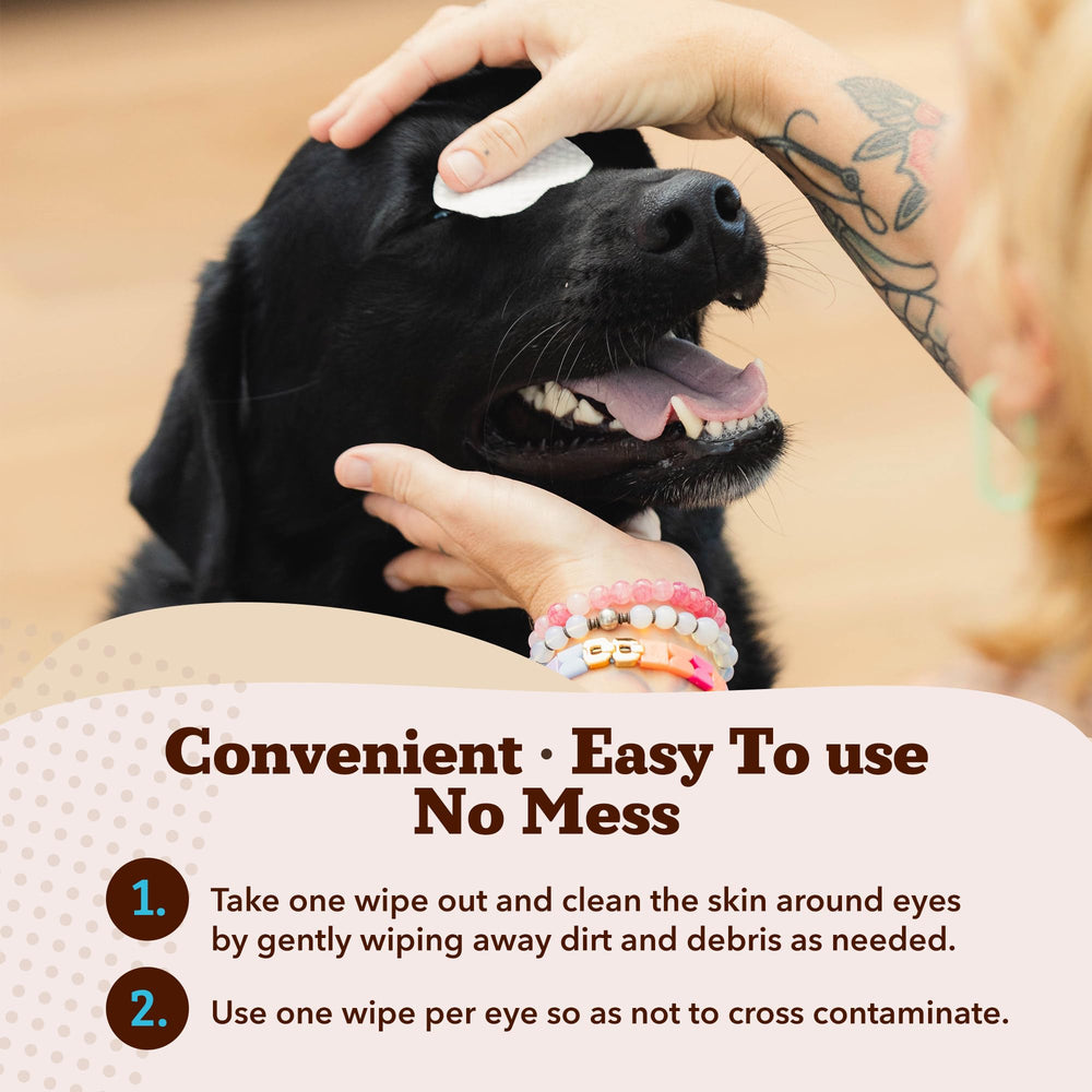 Natural Dog Eye Wipes image shows a calm dog around the eye area.