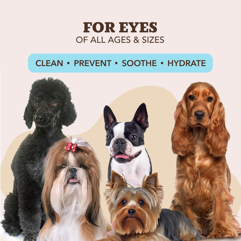 Natural Dog Eye Wipes lick-safe and gentle around eyes.